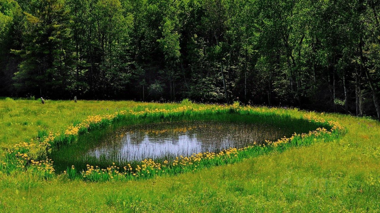 Купить загородную недвижимость в микрорайоне Березит в городе Екатеринбург,  продажа загородной недвижимости - база объявлений Циан. Найдено 1 объявление