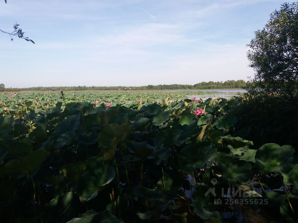 Купить земельный участок в СНТ Октябрь Хабаровского района, продажа  земельных участков - база объявлений Циан. Найдено 3 объявления