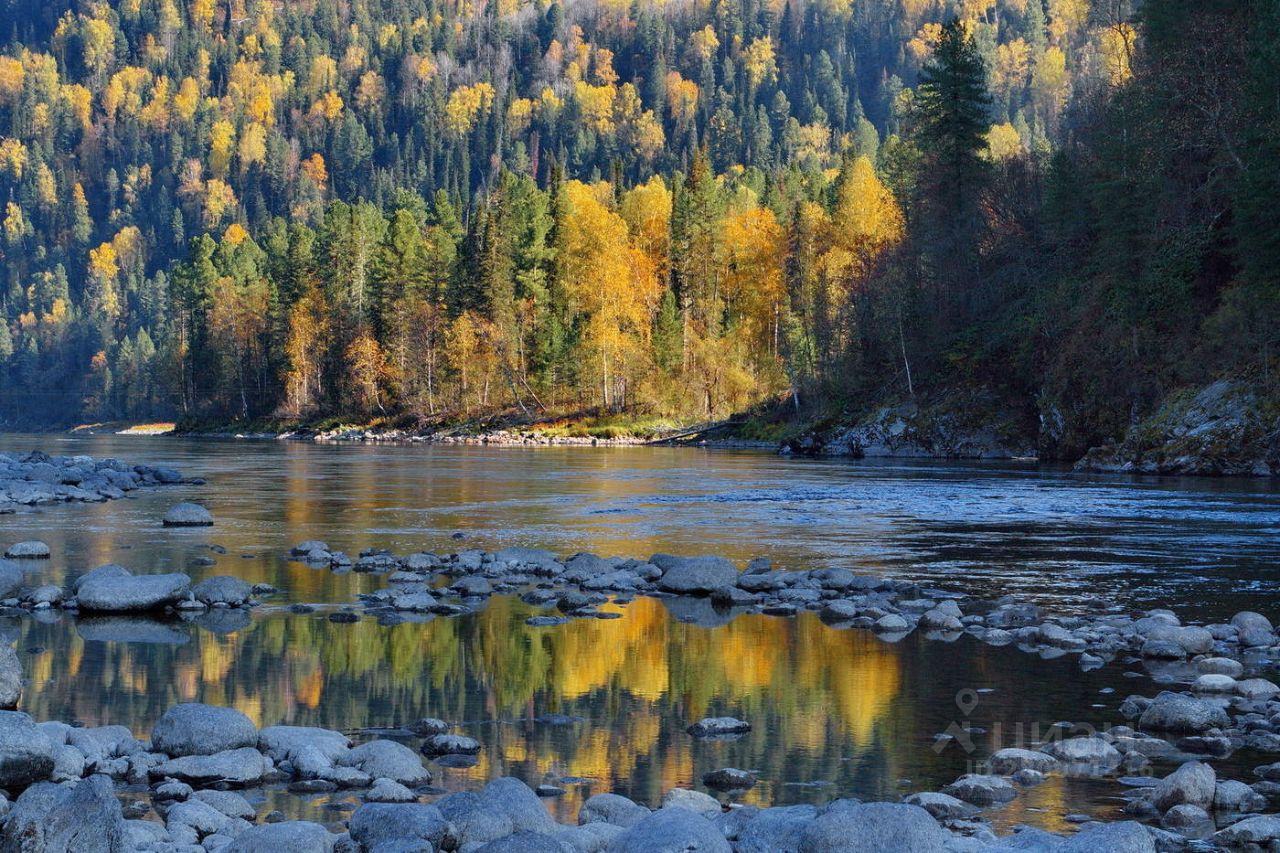 Купить загородную недвижимость в селе Дмитриевка Турочакского района,  продажа загородной недвижимости - база объявлений Циан. Найдено 5 объявлений