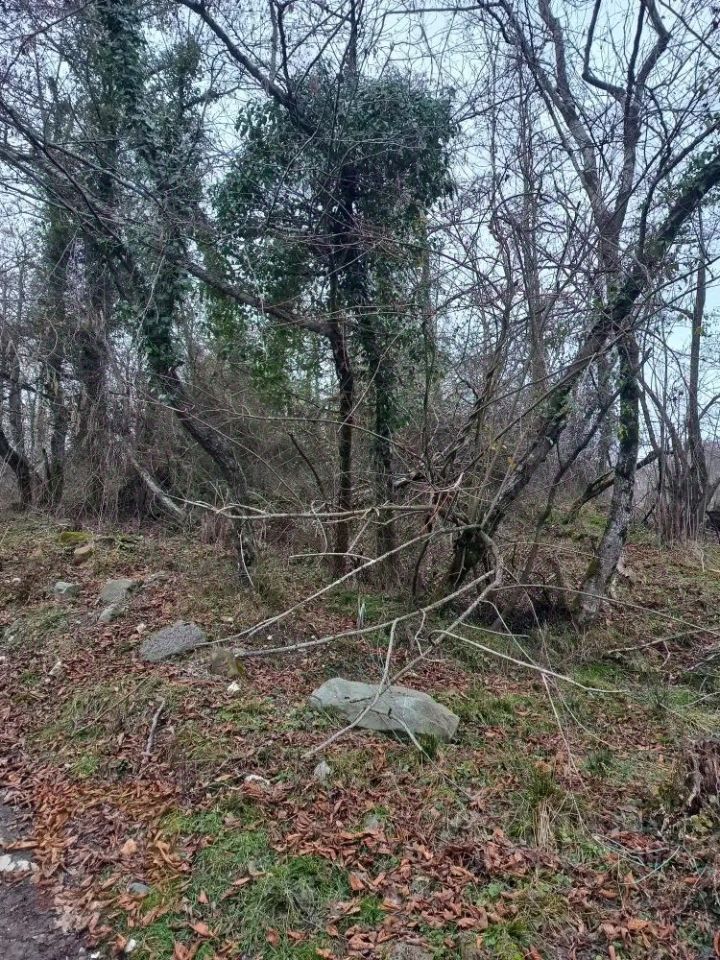 Продаетсяучасток,5,4сот.