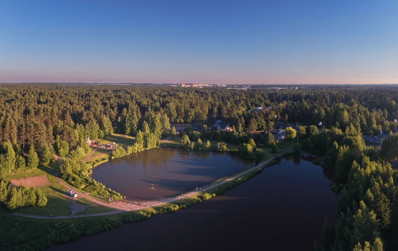 Парки