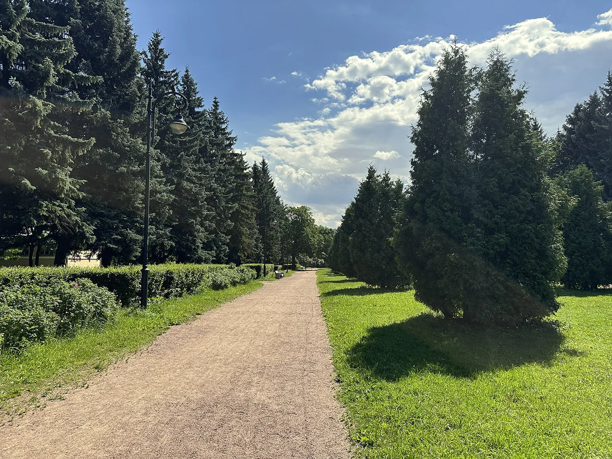 Парки