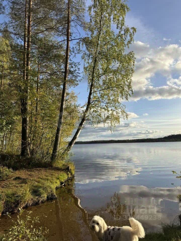 2-комн. кв., р-н Выборгский
