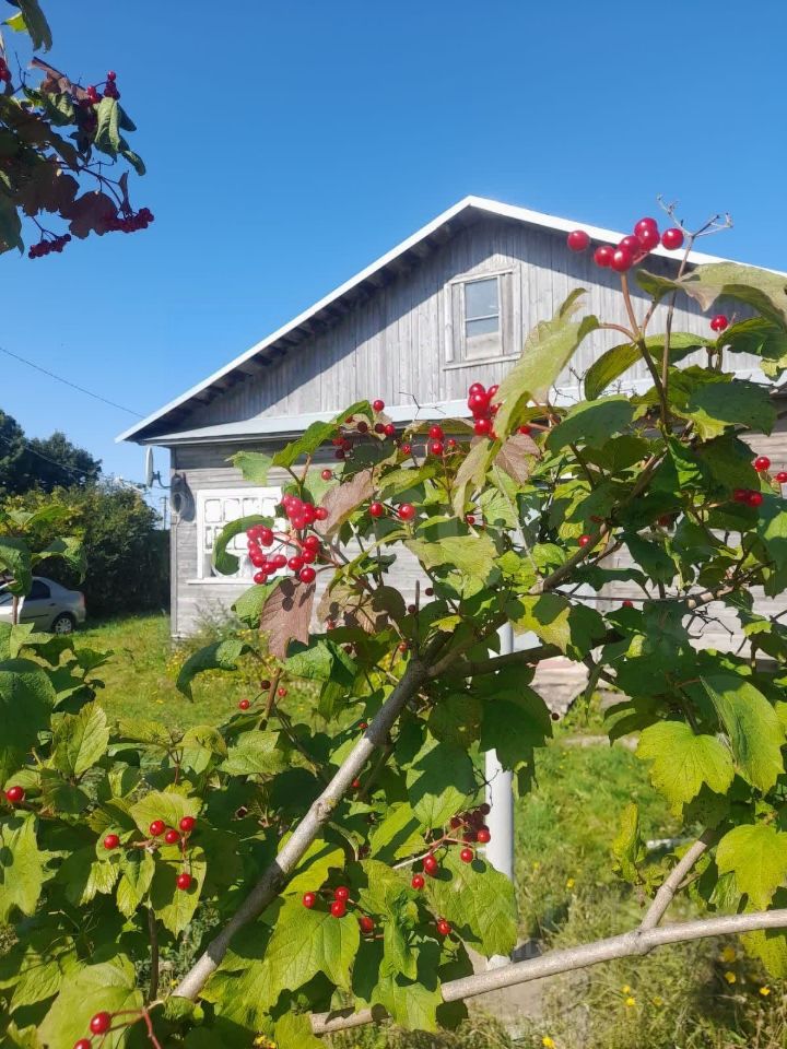 Квартира 3-комн. 64.3 м² в с. Мякса — фото 45 из 48