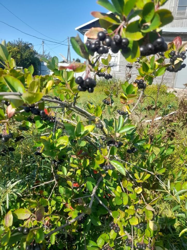 Квартира 3-комн. 64.3 м² в с. Мякса — фото 47 из 48