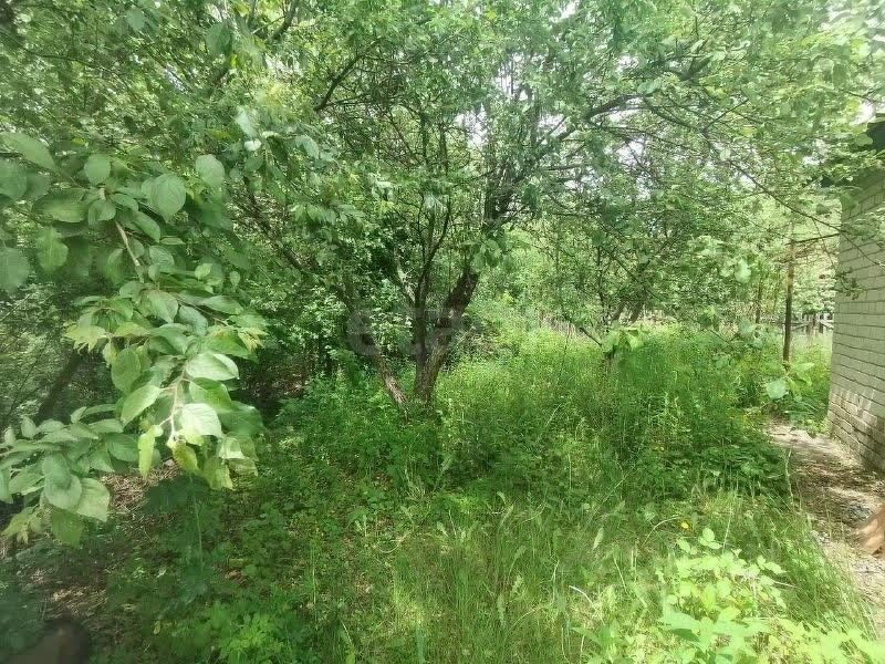 Дом 42 м² в с. Новокладовое — фото 7 из 14