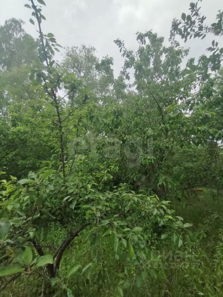 Дом 42 м² в с. Новокладовое — фото 10 из 14