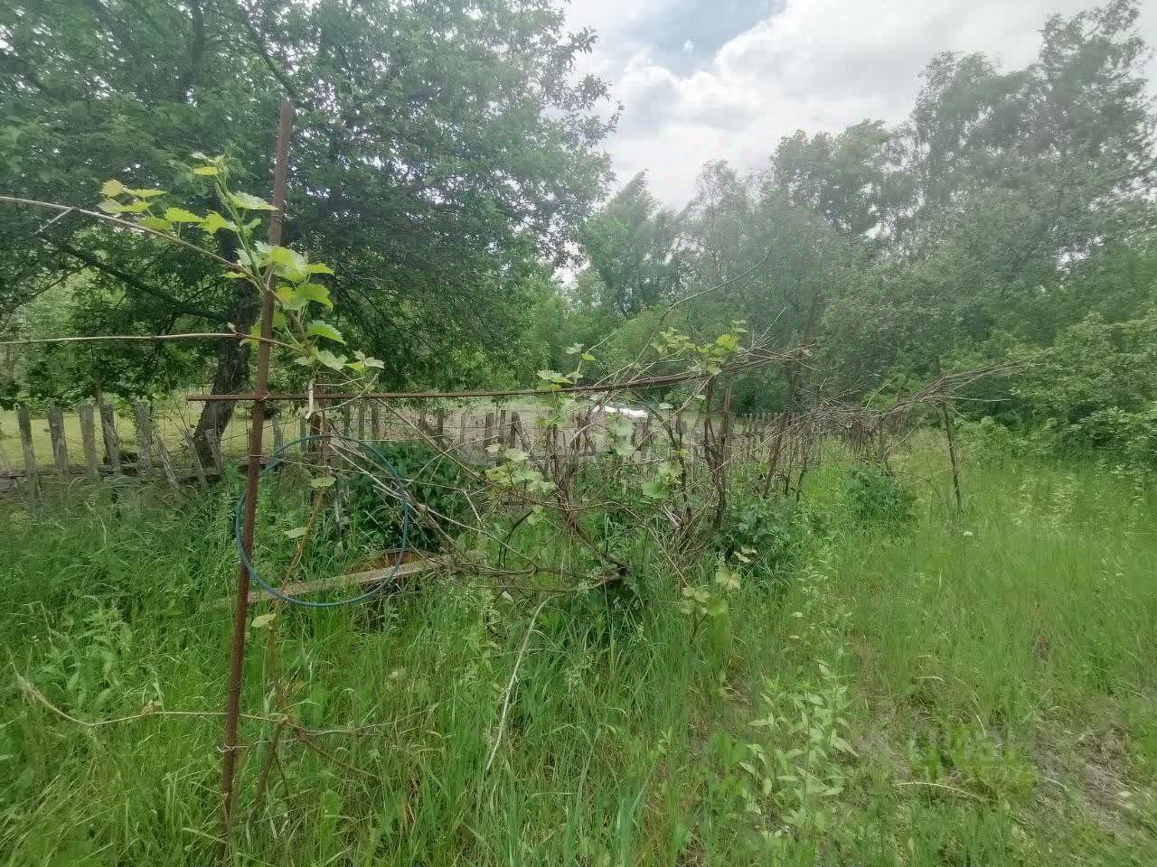 Дом 42 м² в с. Новокладовое — фото 14 из 14