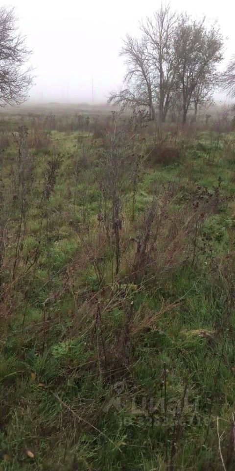 Квартира 1-комн. 36.8 м² за 315 000 ₽ в пос. Щелкан — фото 2