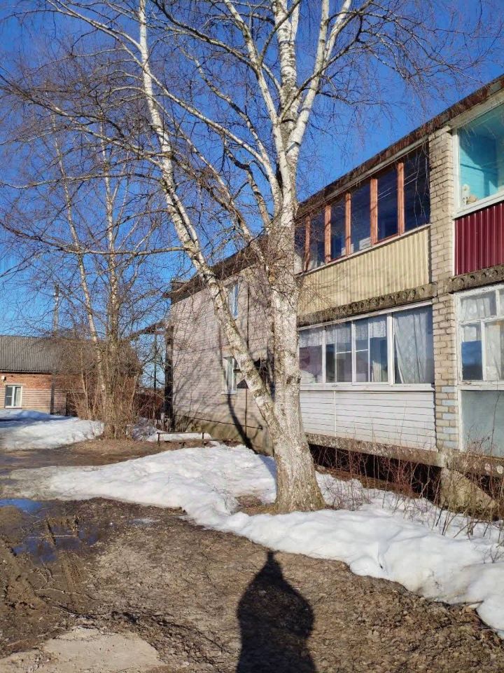 Квартира 2-комн. 47.8 м² в с. Воскресенское (Воскресенский сельсовет) — фото 21 из 22