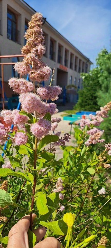 Помещение на 1-м этаже, 103 м², р-н Выборгский