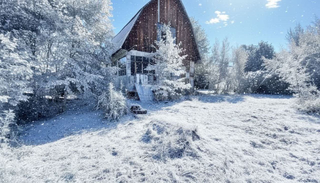 Дом 30 м² в Елизовский — фото 4