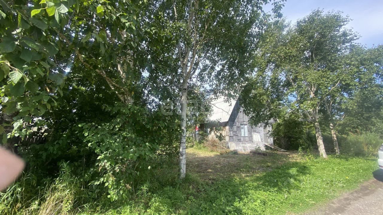 Дом 30 м² в Елизовский — фото 13 из 21