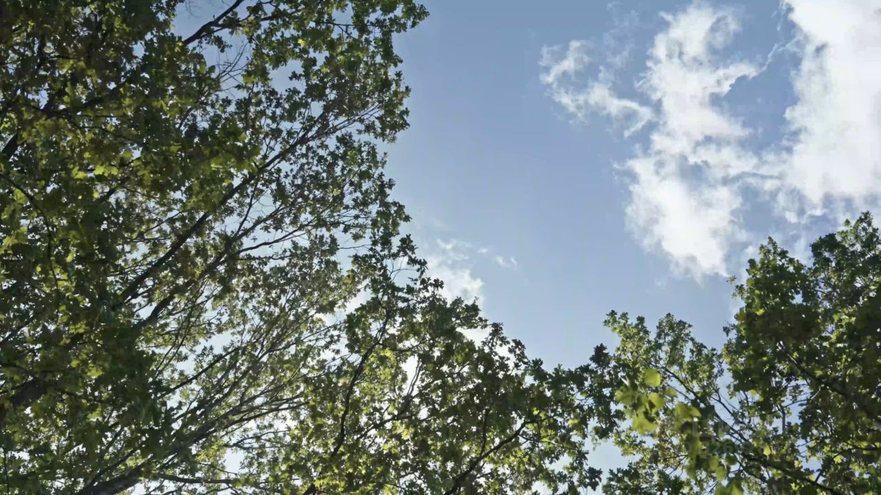 Новостройка, р-н Гольяново