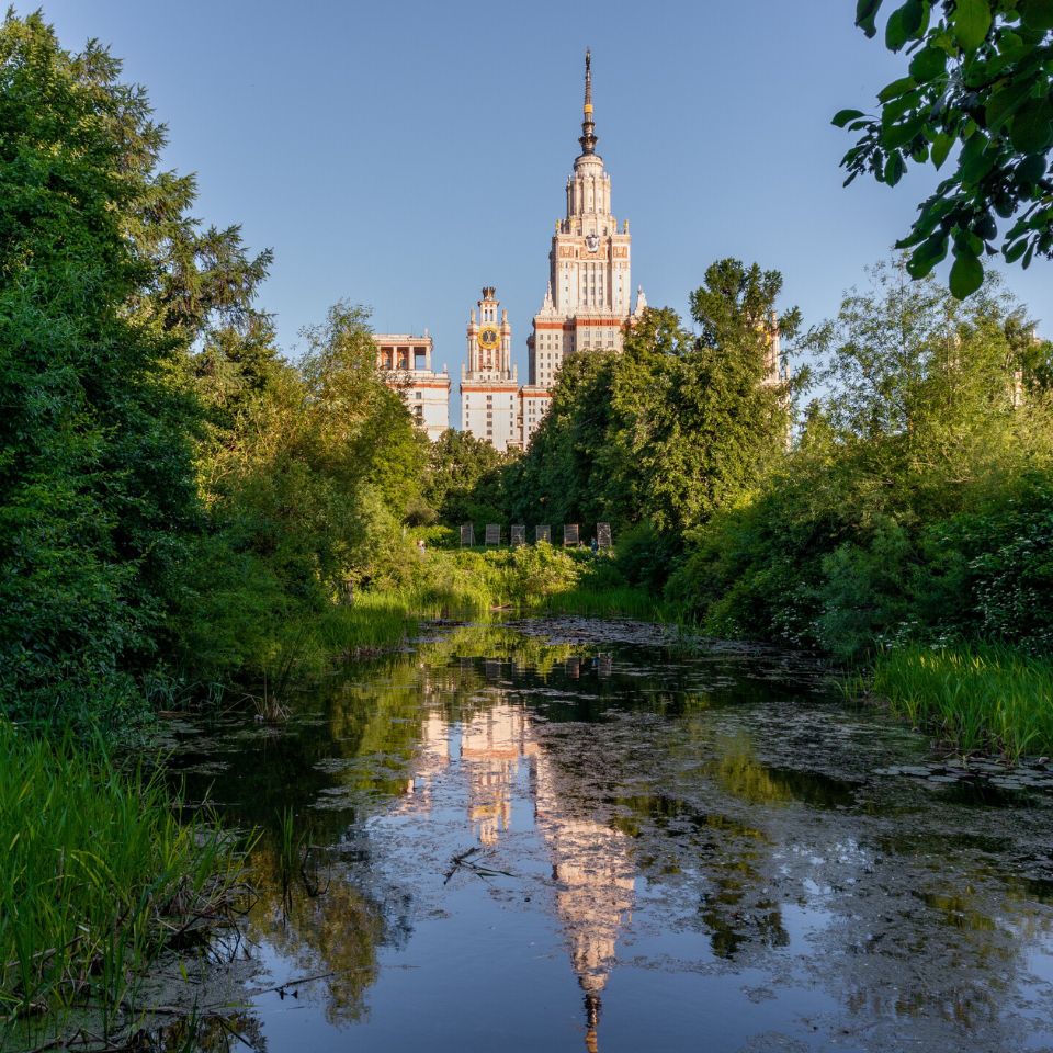 Парки