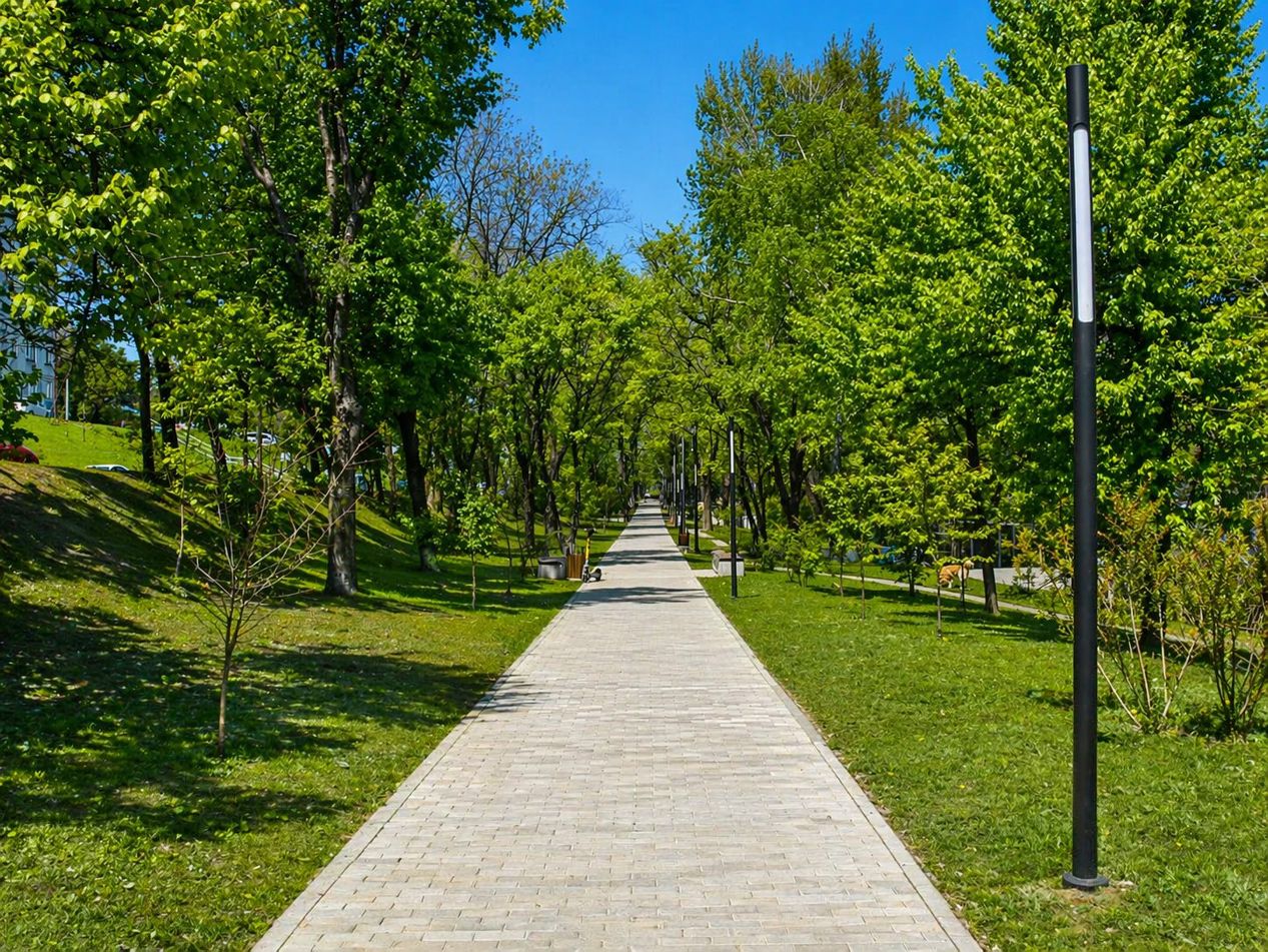 Парки