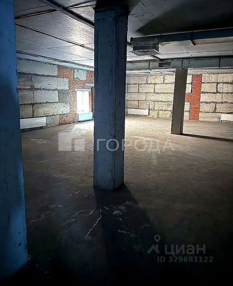 ПСН (свободного назначения) (подвал), р-н Кировский, Новосибирск