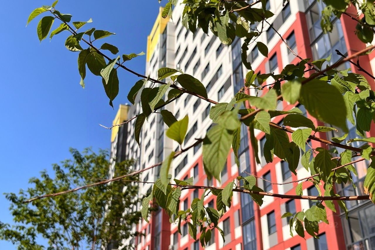 Новостройка, р-н Ленинский, Новосибирск
