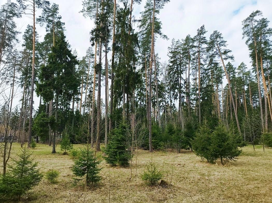 Купить земельный участок в коттеджном поселке Вымпел городского округа  Красногорска, продажа земельных участков - база объявлений Циан. Найдено 25  объявлений