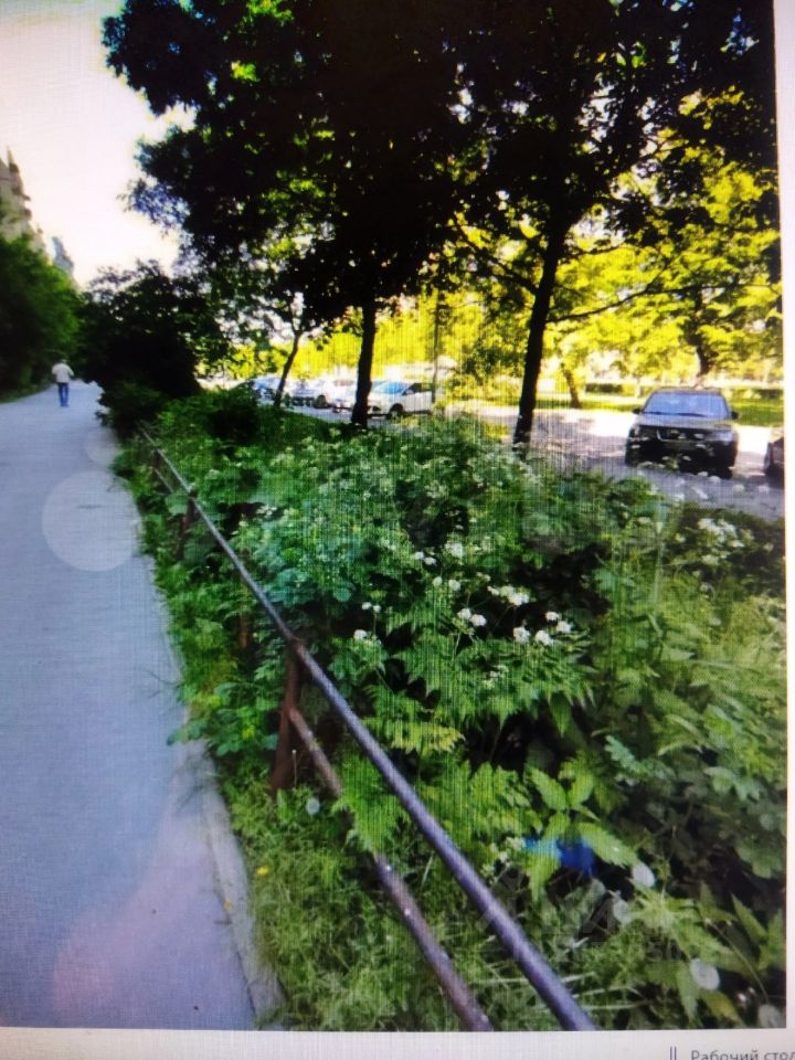 Купить трехкомнатную квартиру 67м² ул. Турку, 11к1, Санкт-Петербург, р ...