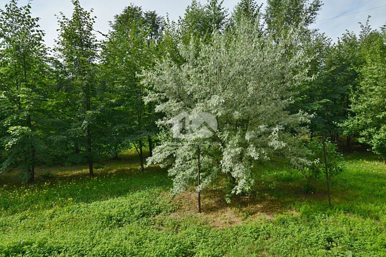 Квартира, р-н Заельцовский, Новосибирск