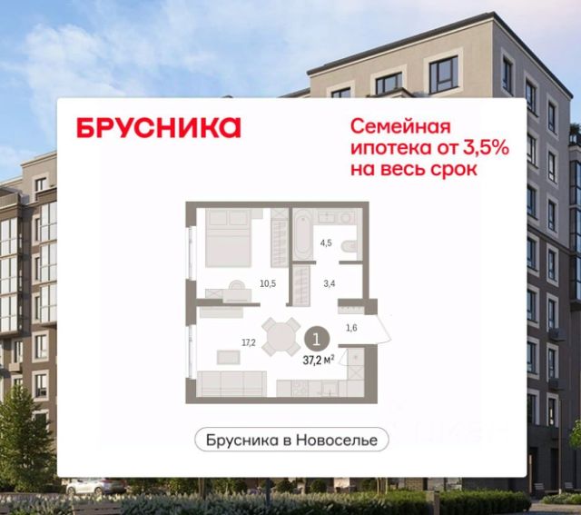 ЖК «Брусника в Новоселье»