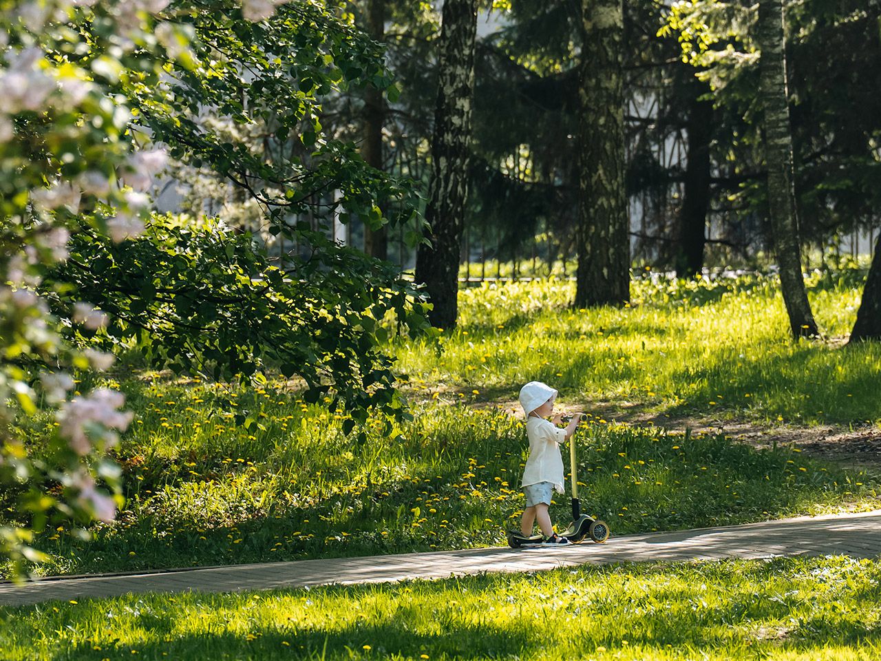 Парки