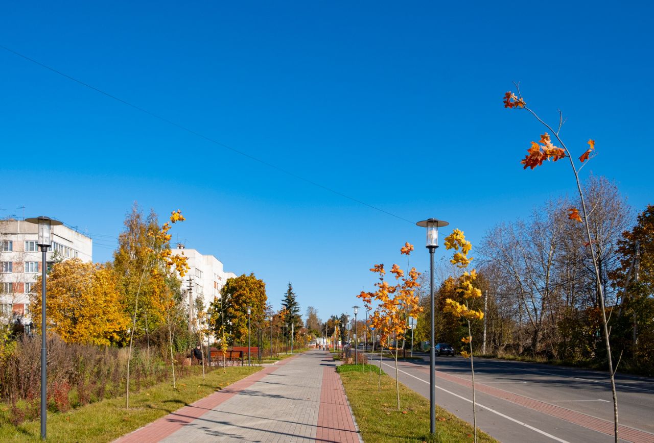 Парки