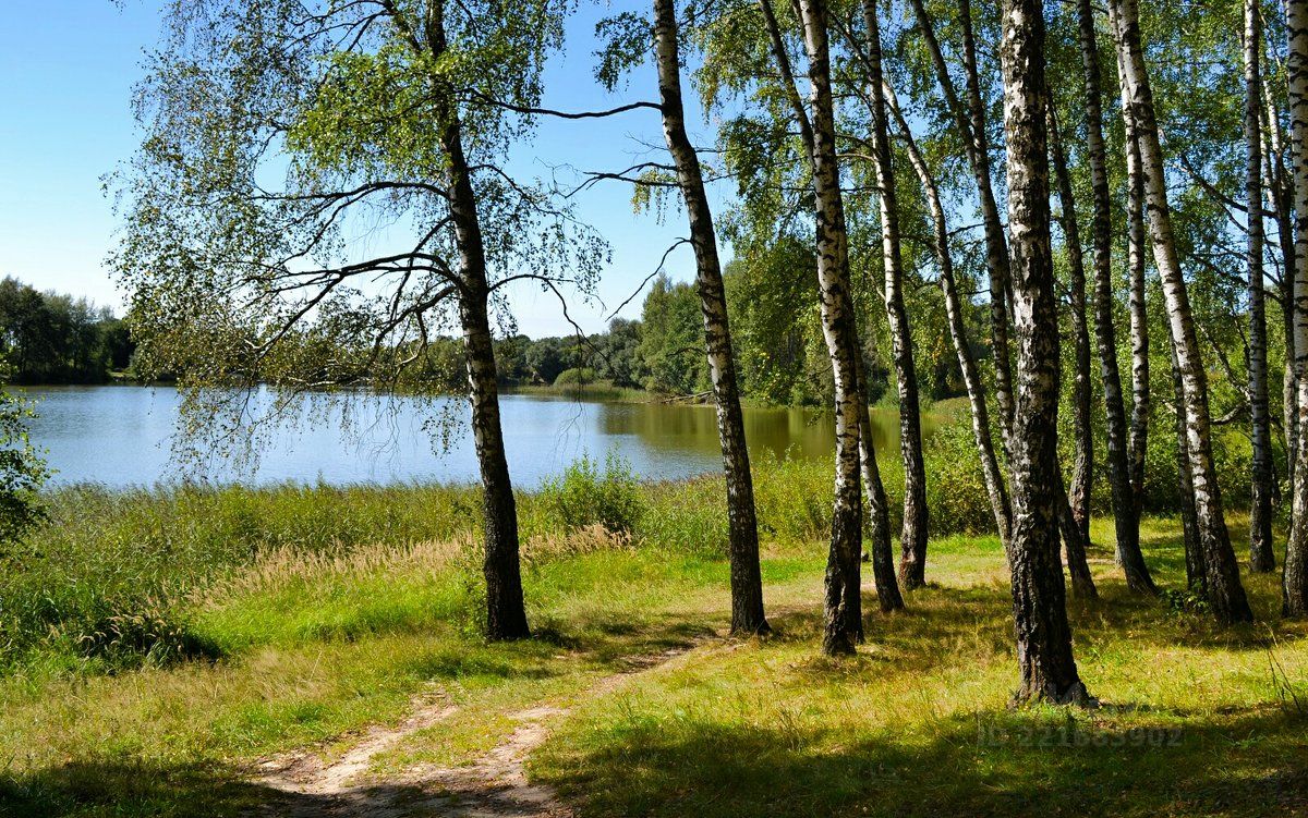 Купить загородную недвижимость в деревне Кощино Смоленского района, продажа  загородной недвижимости - база объявлений Циан. Найдено 8 объявлений