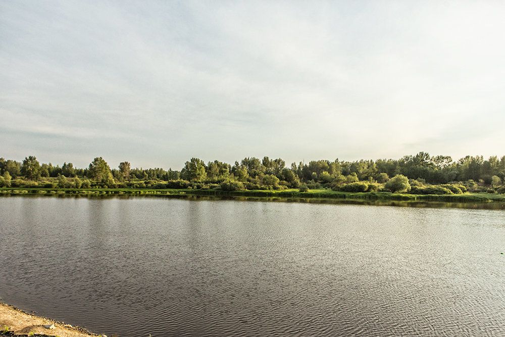 купить квартиру в ЖК Приозерье