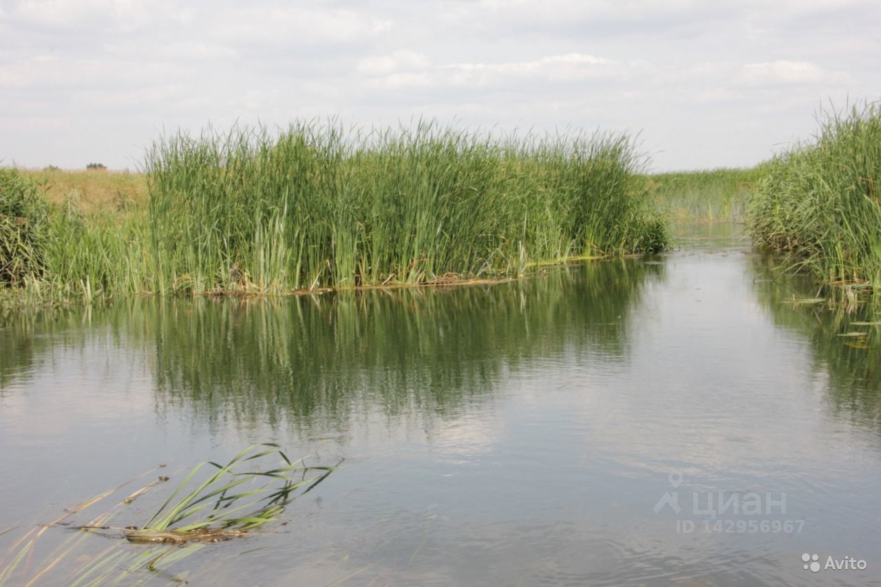 Купить загородную недвижимость на улице Раздольная в селе Яблонево, продажа  загородной недвижимости - база объявлений Циан. Найдено 1 объявление