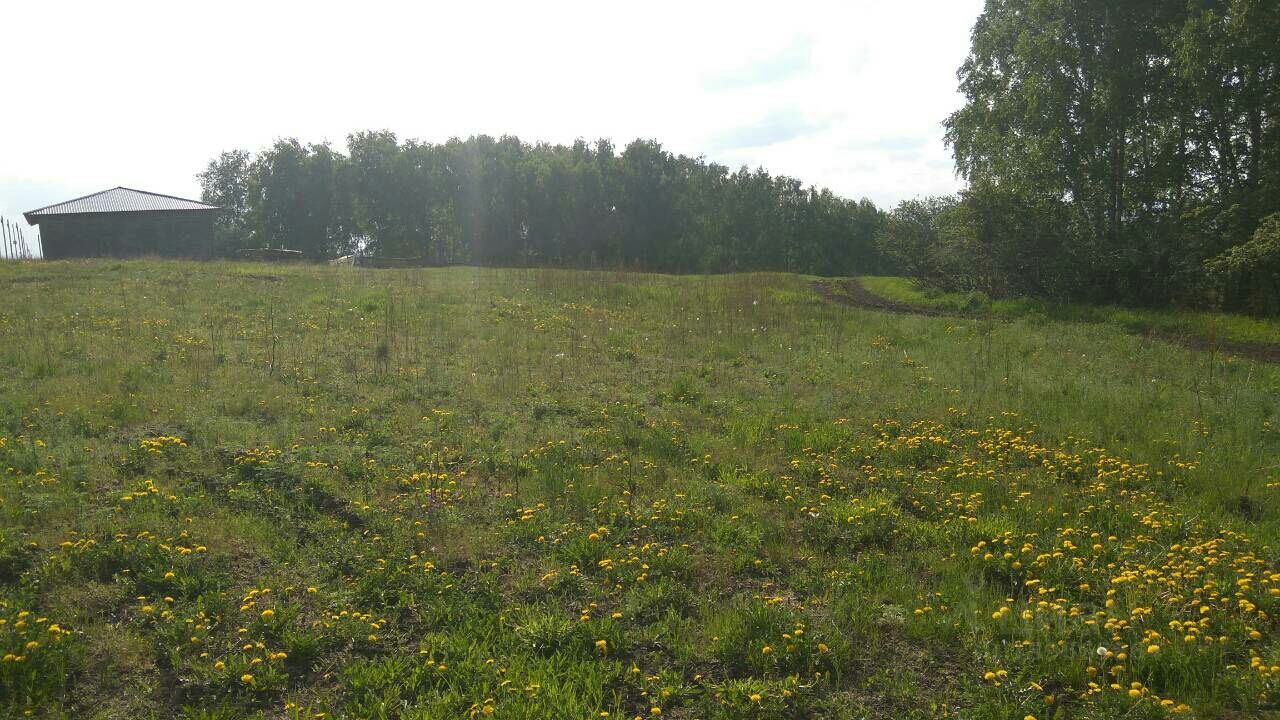 Купить земельный участок в поселке городского типа Березовка Красноярского  края, продажа земельных участков - база объявлений Циан. Найдено 9  объявлений