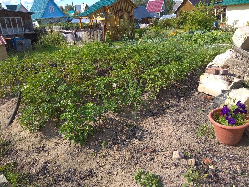 Купить загородную недвижимость в деревне Морово Сыктывдинского района,  продажа загородной недвижимости - база объявлений Циан. Найдено 1 объявление