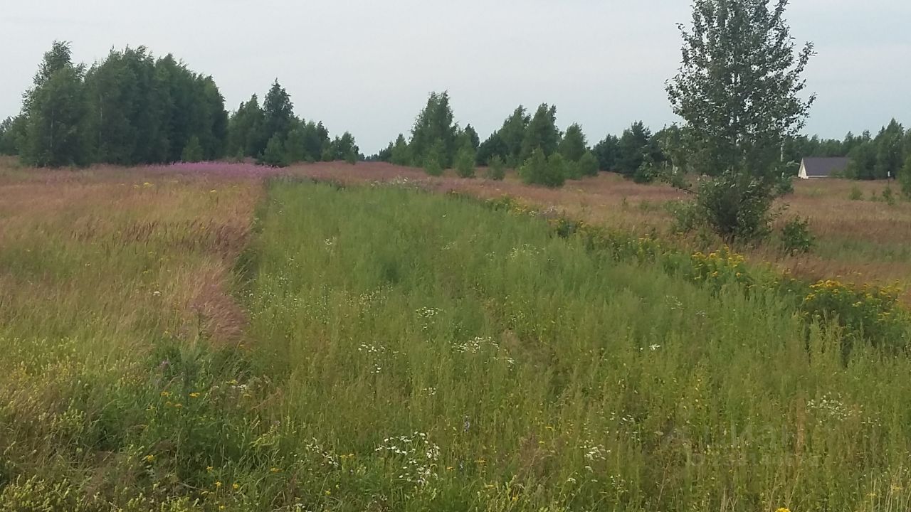 Купить земельный участок в селе Диево-Городище Некрасовского района,  продажа земельных участков - база объявлений Циан. Найдено 7 объявлений