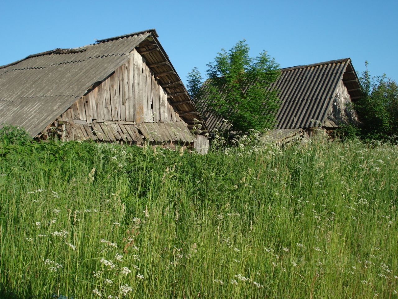 Купить Земельный Участок В Великих Луках