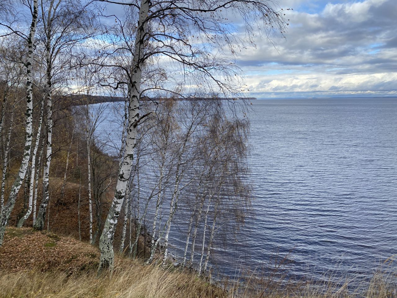 Купить загородную недвижимость на улице Приморская в городе Чкаловск,  продажа загородной недвижимости - база объявлений Циан. Найдено 1 объявление