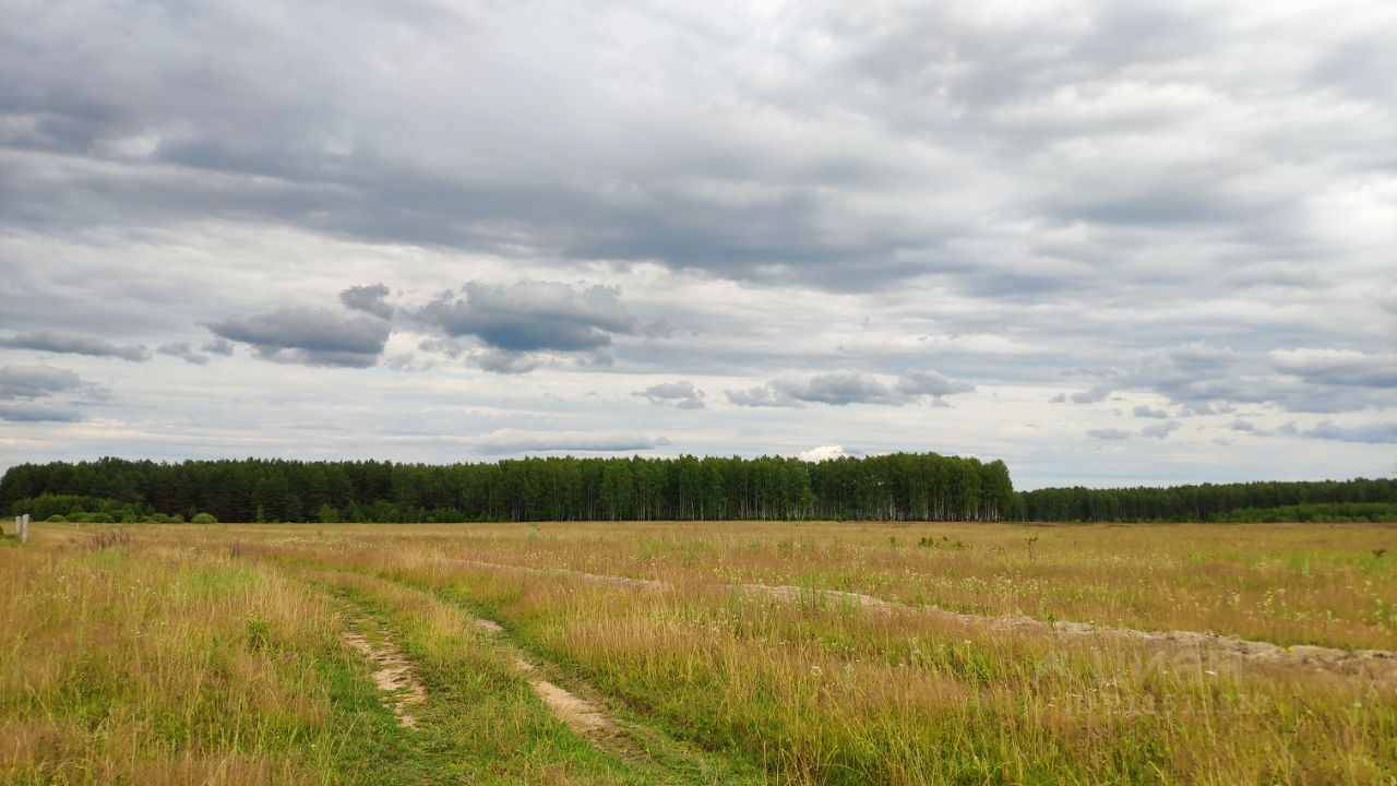 Купить дачный участок в Камешково, продажа участков для дачи. Найдено 170  объявлений.