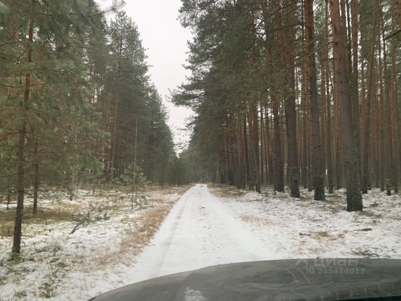 Купить загородную недвижимость в коттеджном поселке Финеев Луг Киржачского  района, продажа загородной недвижимости - база объявлений Циан. Найдено 2  объявления