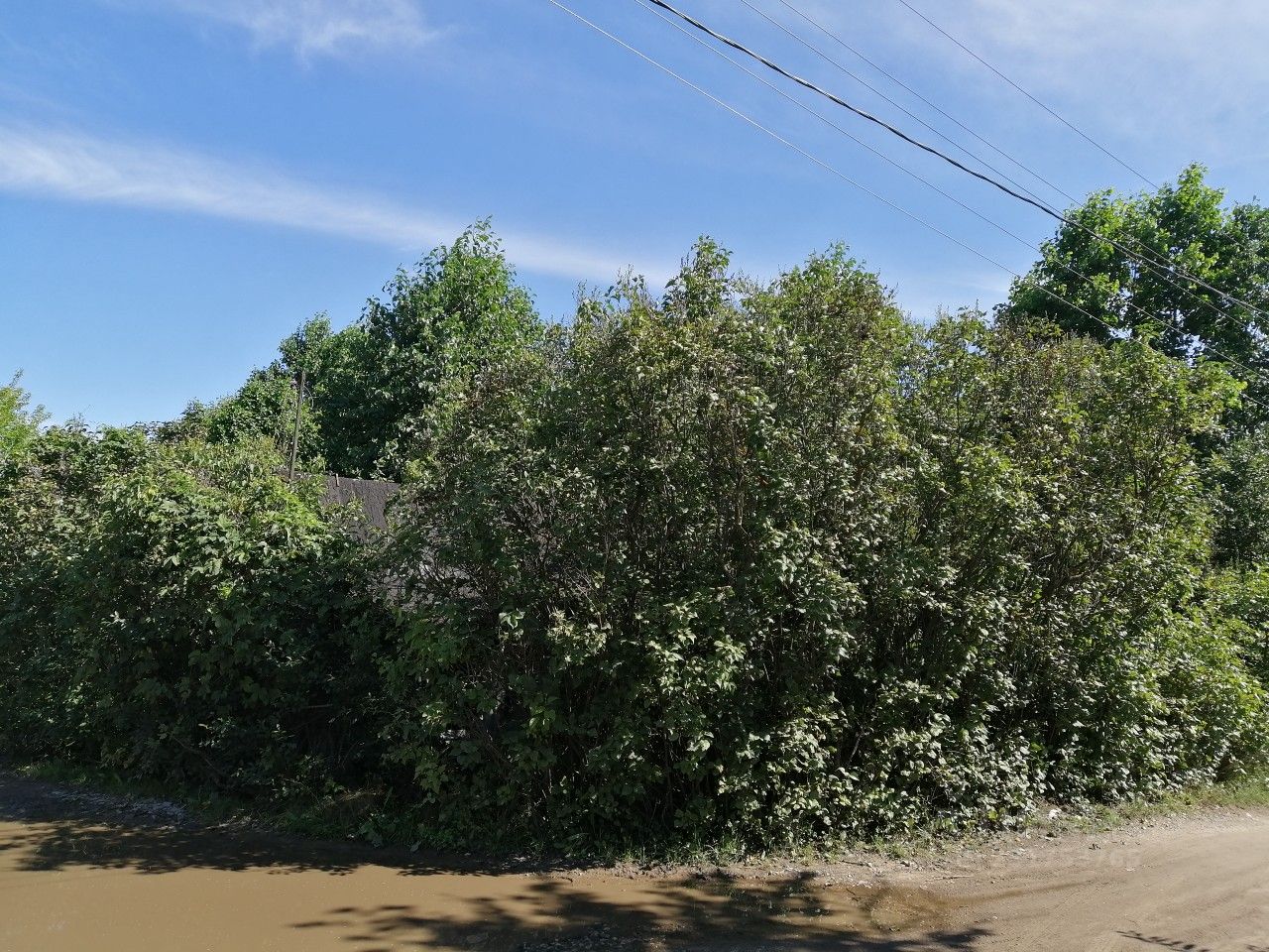 Купить загородную недвижимость в СНТ Текстильщик в муниципальном  образовании Васильево, продажа загородной недвижимости - база объявлений  Циан. Найдено 4 объявления