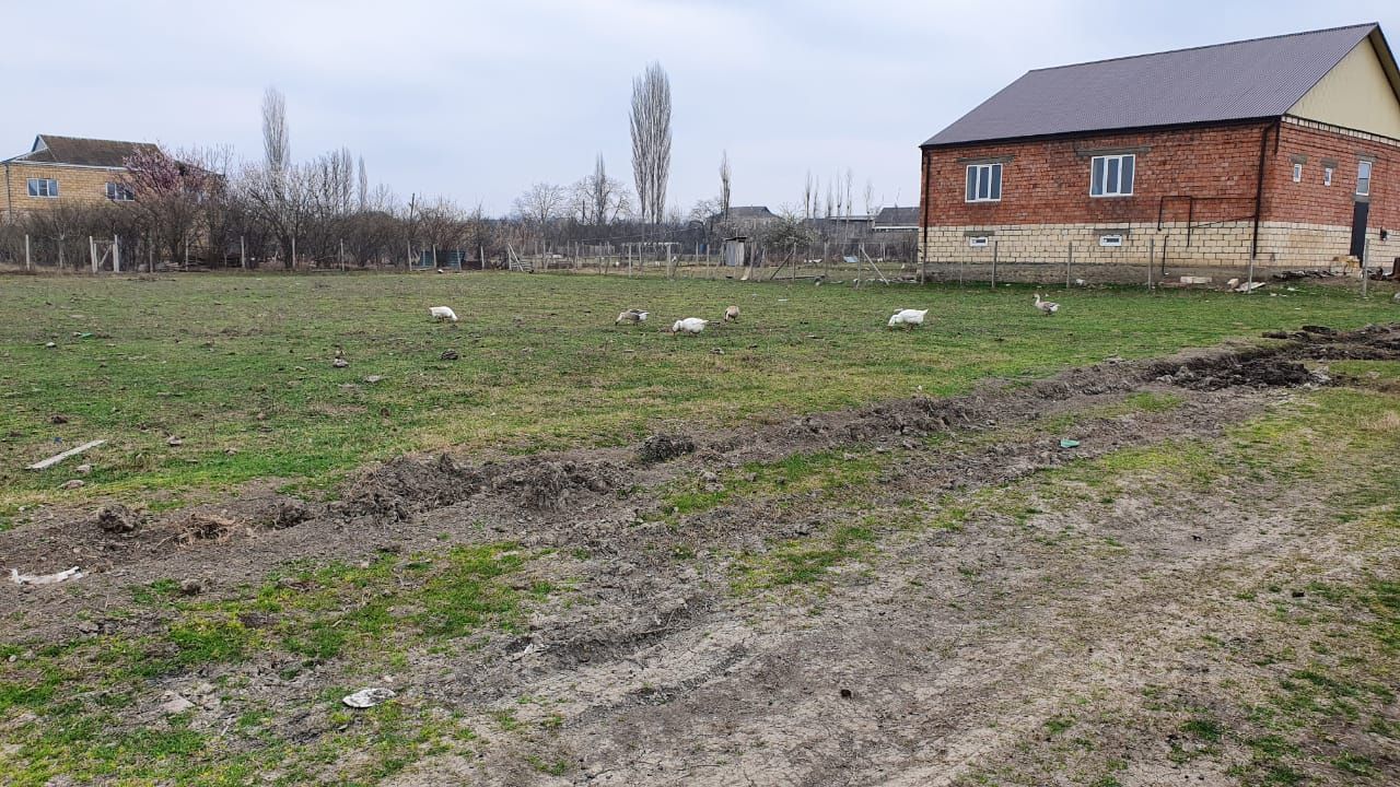 Купить земельный участок в поселке Белиджи Дербентского района, продажа  земельных участков - база объявлений Циан. Найдено 2 объявления