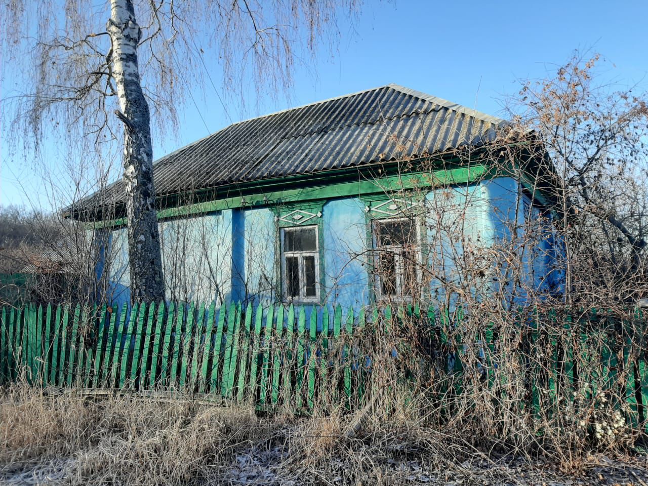 дом в бутурлиновке село козловка (97) фото