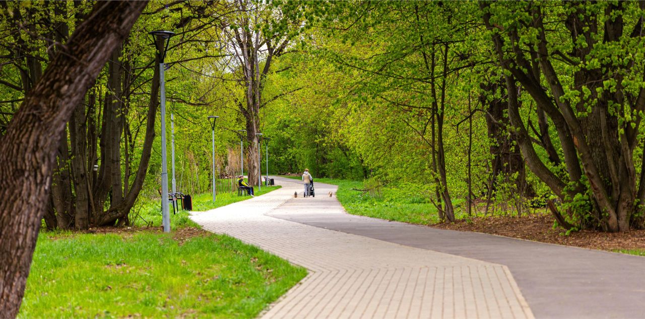 Парки