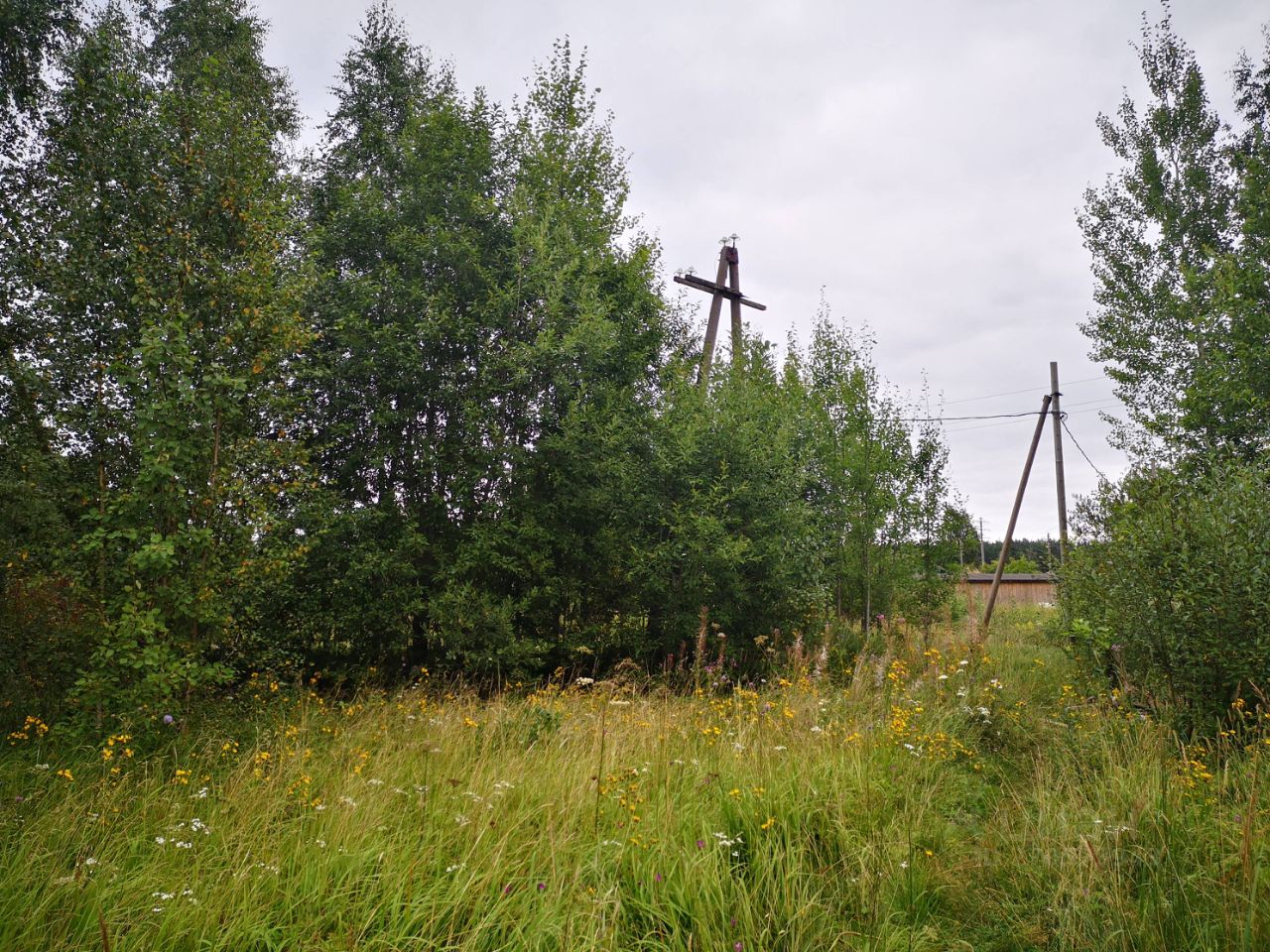 Купить земельный участок в поселке Новинка Гатчинского района, продажа  земельных участков - база объявлений Циан. Найдено 1 объявление