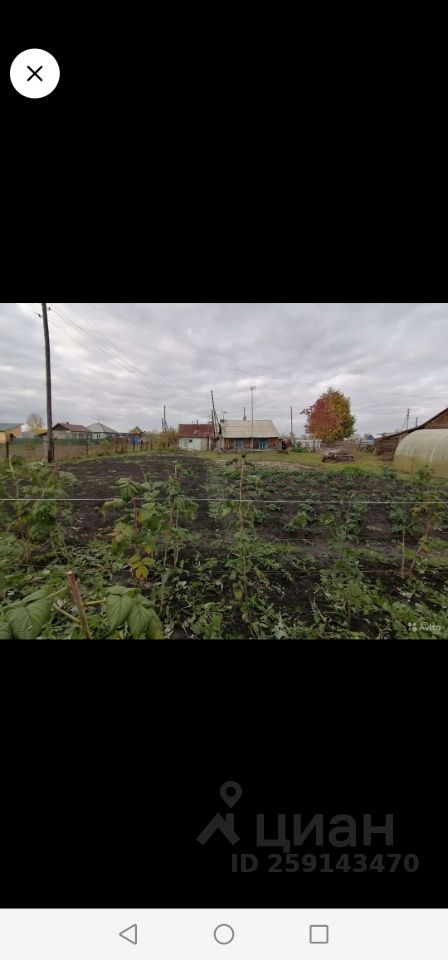 На фотографии видно садовое пространство с грядками, где растут различные растения. Грядки аккуратно организованы, с рядами высоких стеблей. На заднем плане расположены несколько жилых домов с простыми архитектурными формами и крышами. Цвета земли и зелени создают контраст с серым небом. Видна также небольшая постройка, возможно, сарай, и несколько деревьев, что добавляет уюта. Общая атмосфера пространства спокойная и сельская, что подчеркивает естественность и простоту загородной жизни.