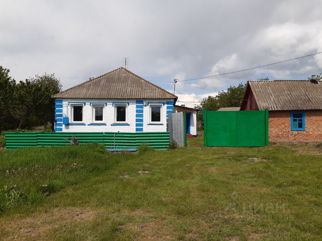 дома борисовка белгородской обл на (99) фото