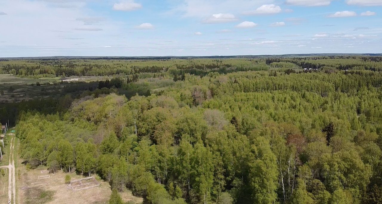 Купить загородную недвижимость в деревне Клетки Московской области, продажа  загородной недвижимости - база объявлений Циан. Найдено 2 объявления