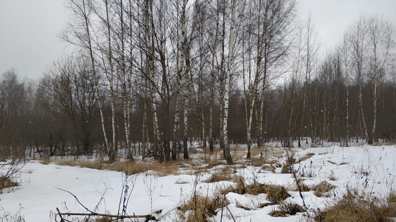 Купить земельный участок в СНТ Коптево-2 городского округа Серпухова,  продажа земельных участков - база объявлений Циан. Найдено 1 объявление