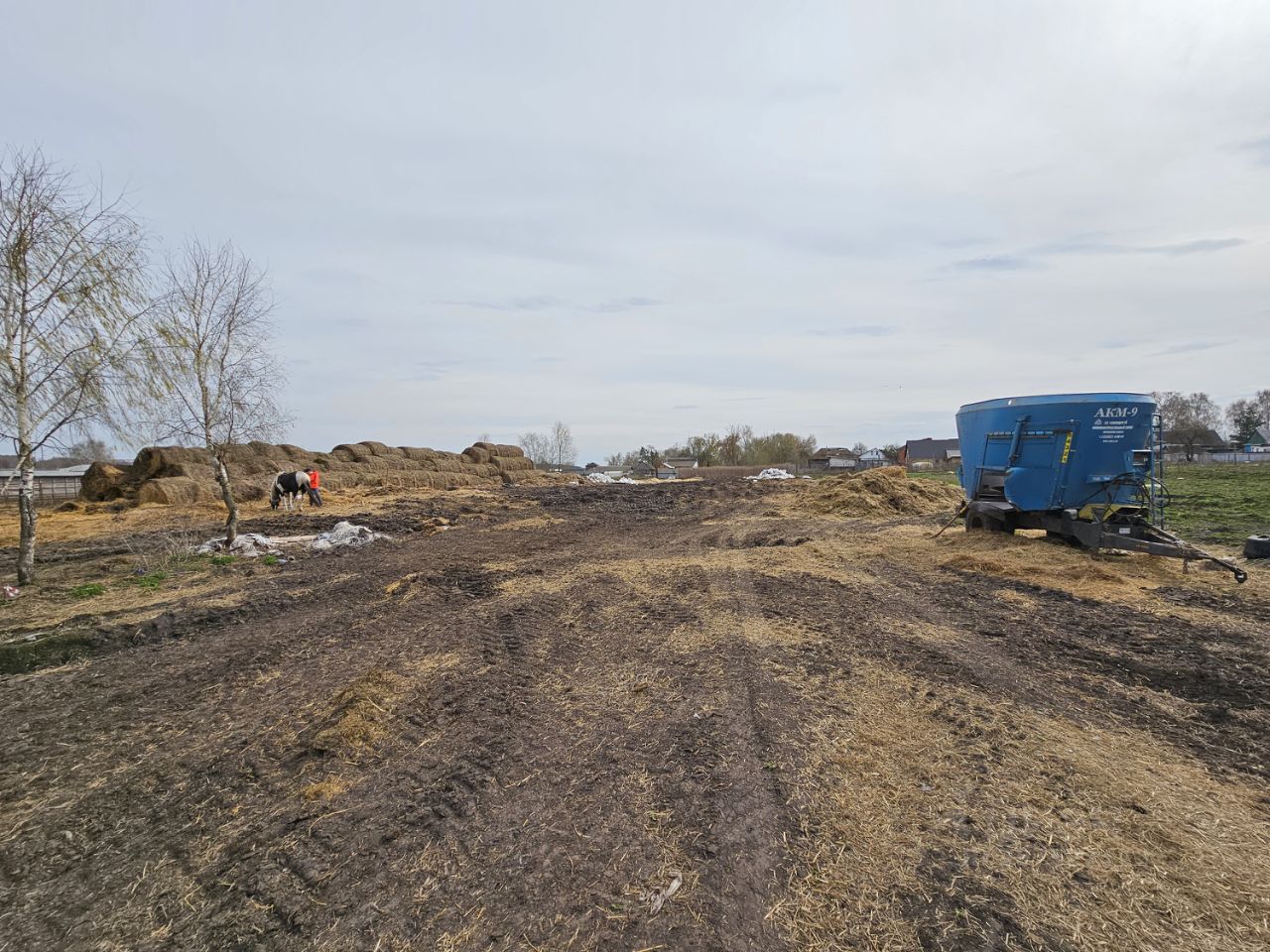 Купить загородную недвижимость на улице Партизанская в селе Толмачево в  сельском поселении Снежское, продажа загородной недвижимости - база  объявлений Циан. Найдено 9 объявлений