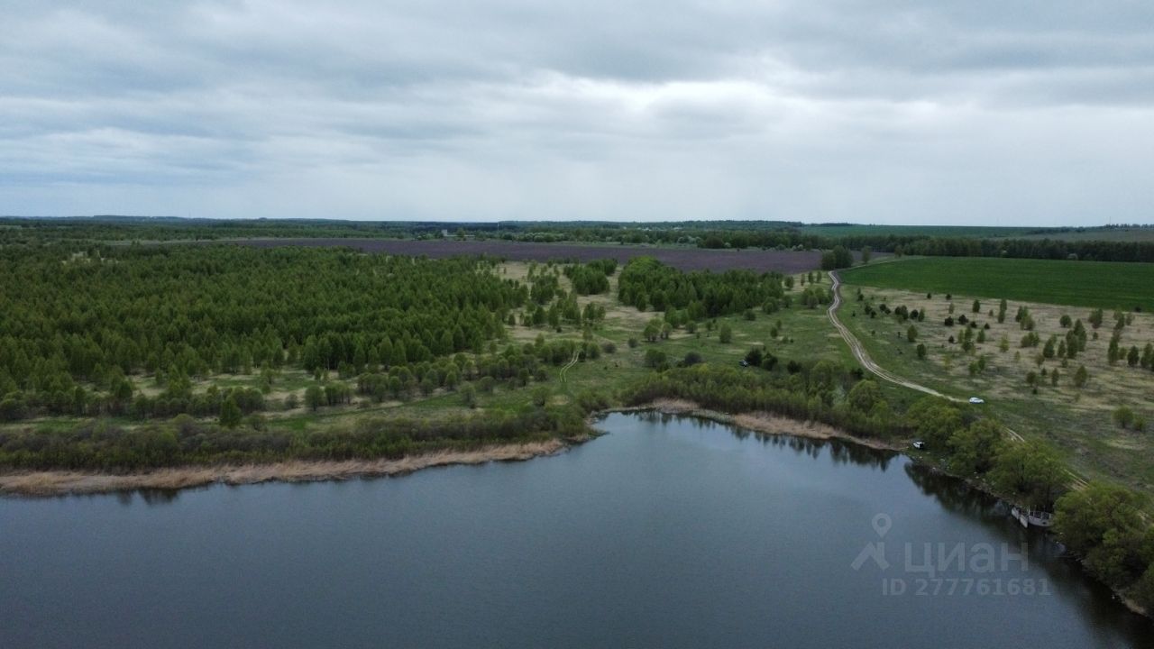 Купить земельный участок в деревне Большое Сескино Нижегородской области,  продажа земельных участков - база объявлений Циан. Найдено 3 объявления