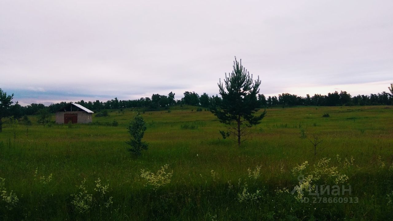 Купить загородную недвижимость в ДНТ Лужники Березовского района, продажа  загородной недвижимости - база объявлений Циан. Найдено 6 объявлений